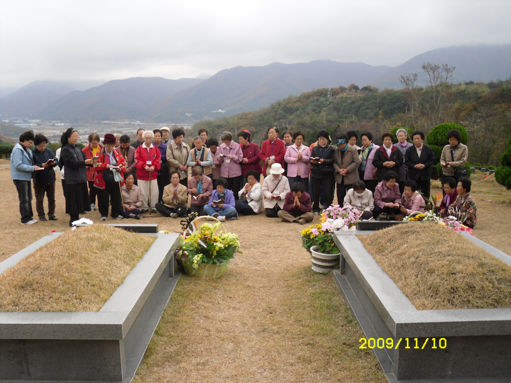 IMG 09-494.JPG