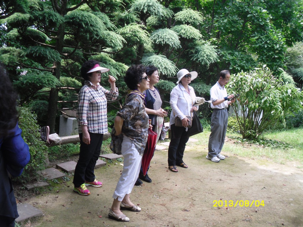 SDC17777.JPG