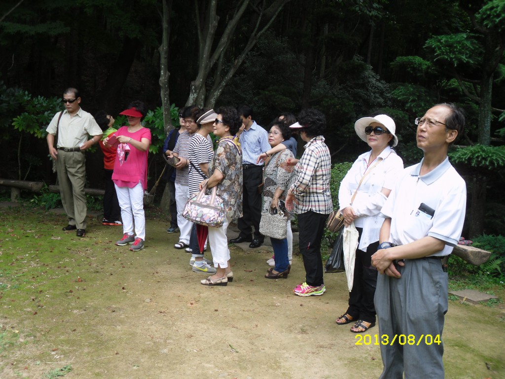 SDC17784.JPG