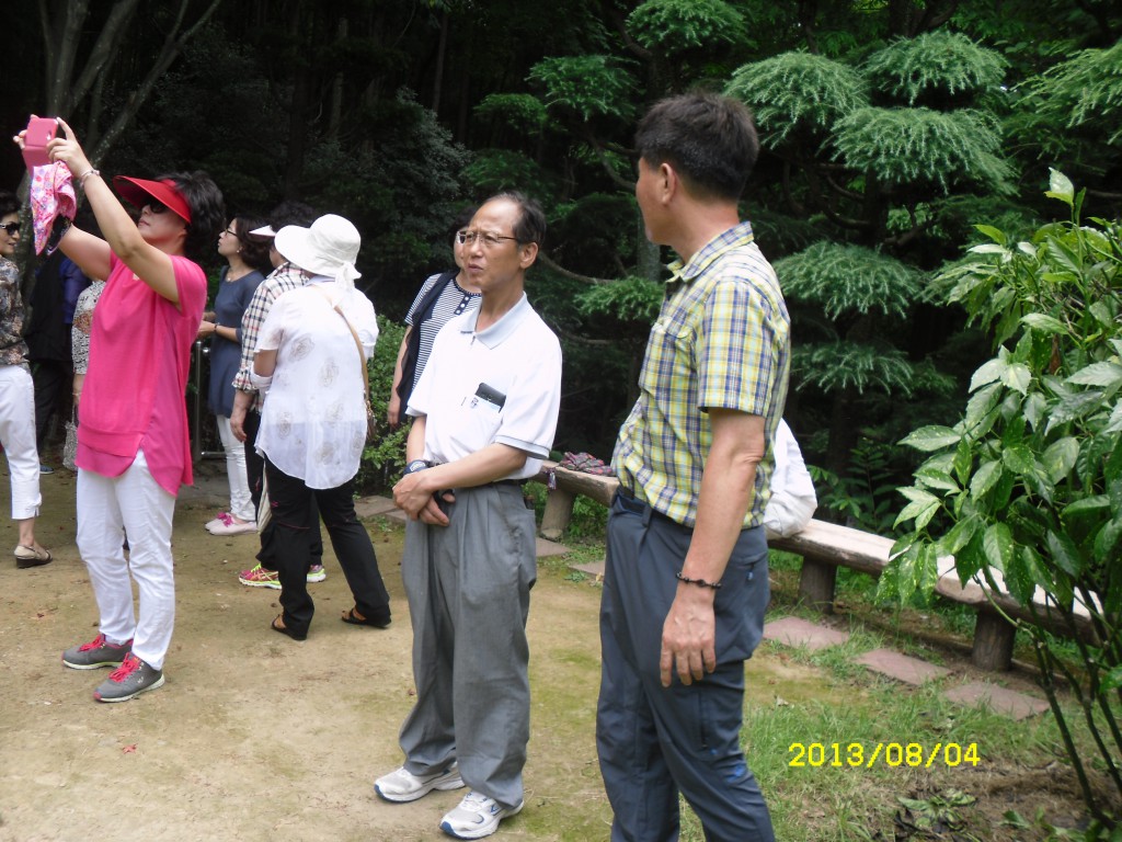 SDC17785.JPG