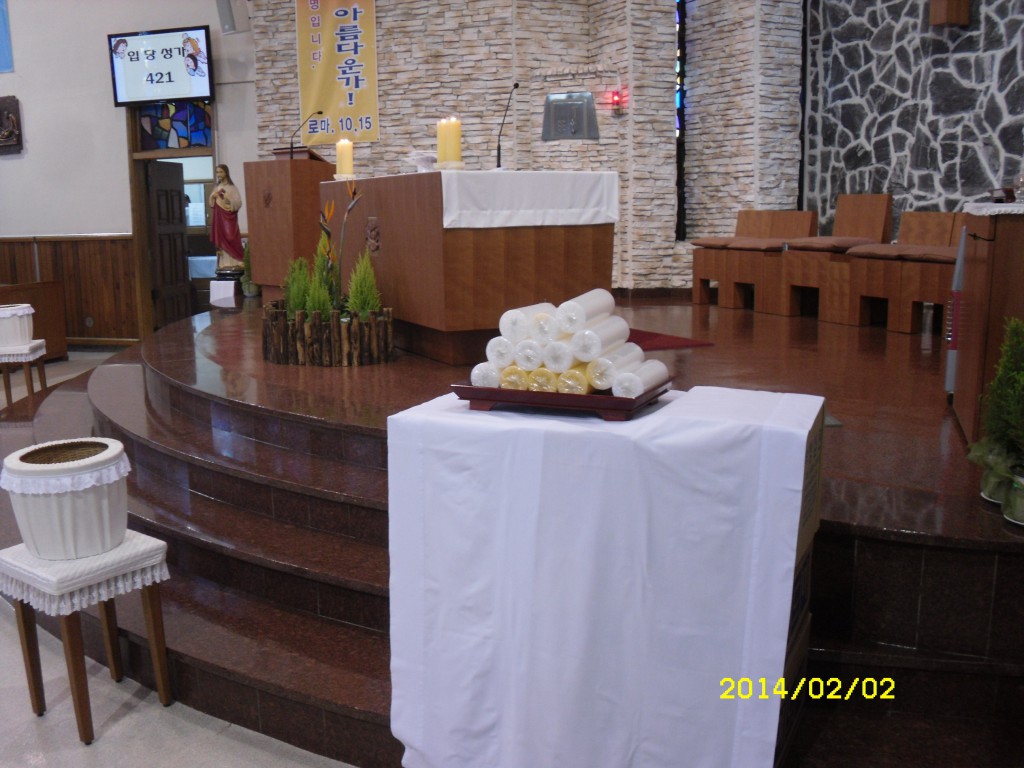 SDC11239.JPG