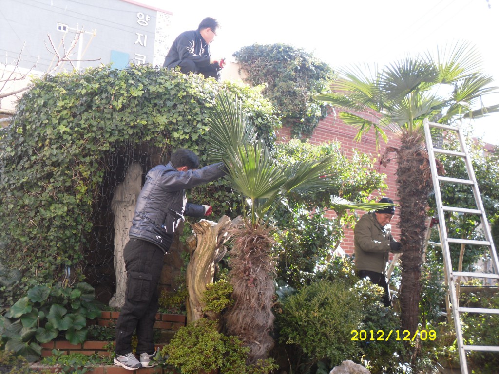 SDC12359.JPG