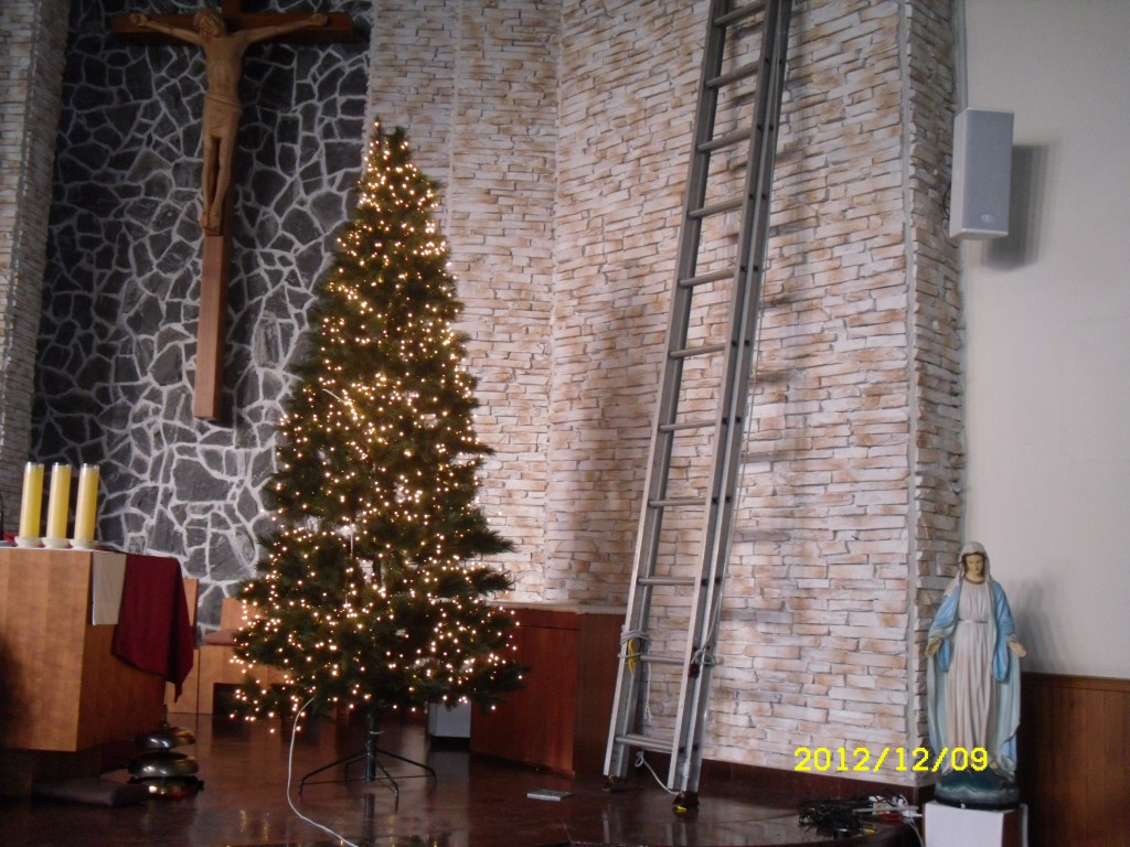 SDC12377.JPG