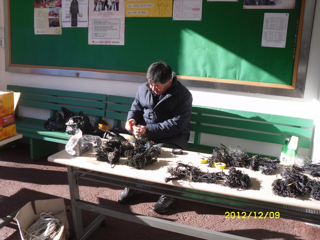 SDC12361.JPG