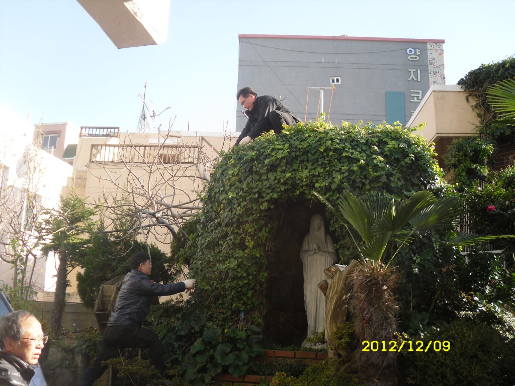 SDC12352.JPG