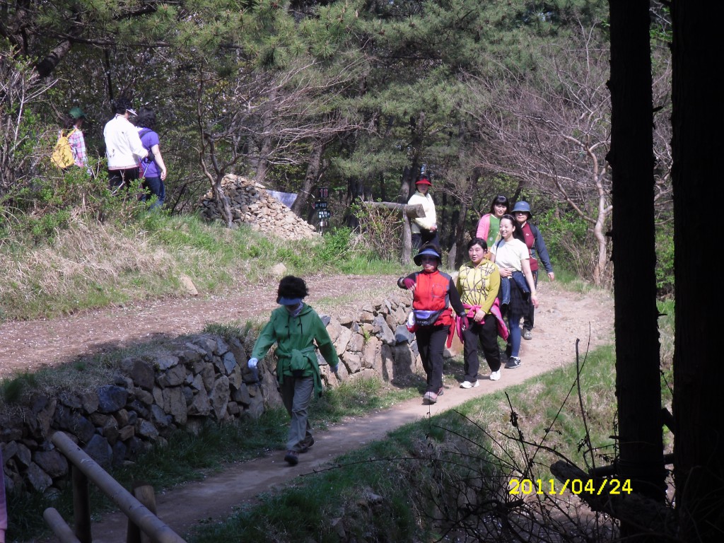 SDC15009.JPG