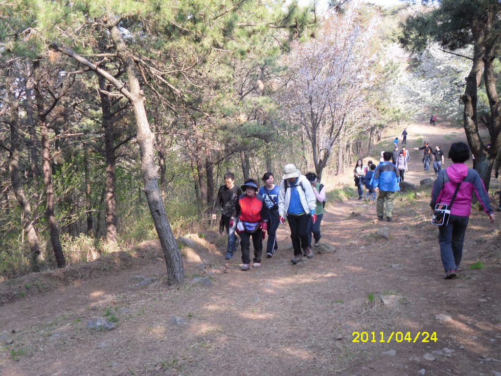 SDC15023.JPG
