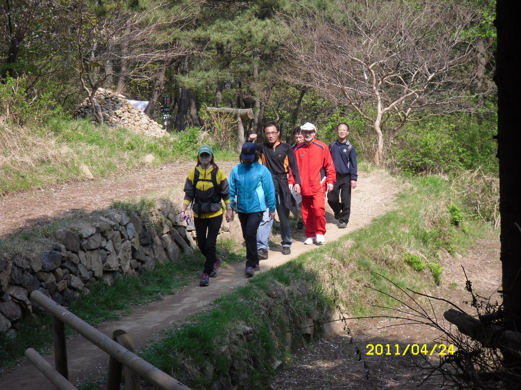 SDC15016.JPG
