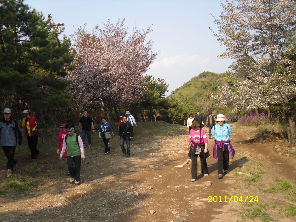 SDC15051.JPG