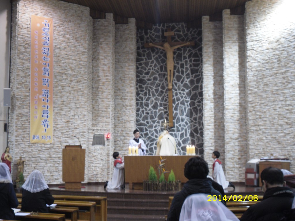 SDC11343.JPG