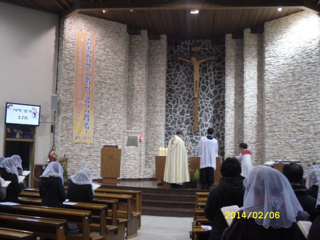 SDC11324.JPG