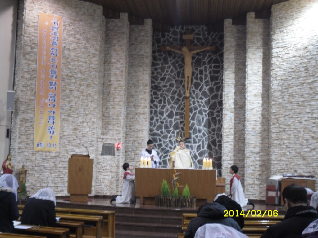 SDC11344.JPG