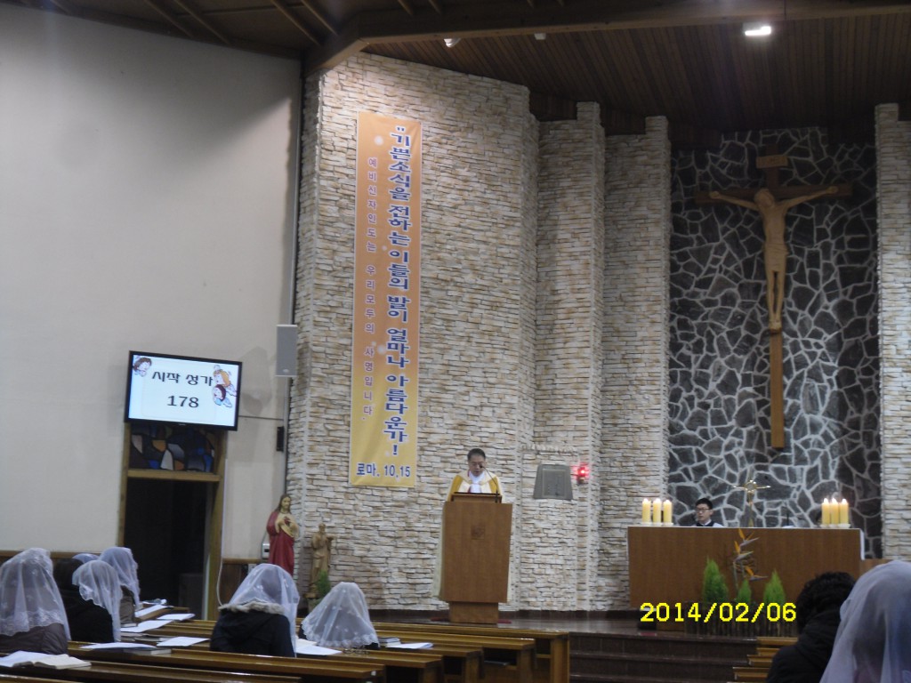 SDC11328.JPG
