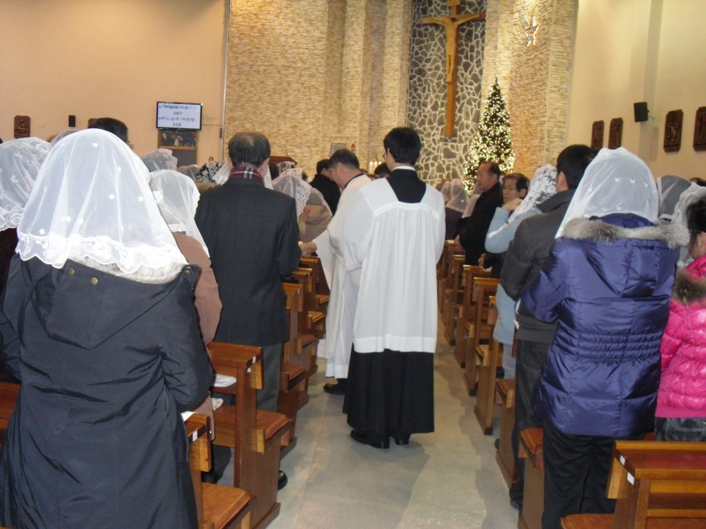 SDC12563.JPG