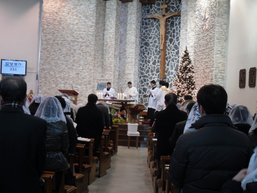 SDC12551.JPG