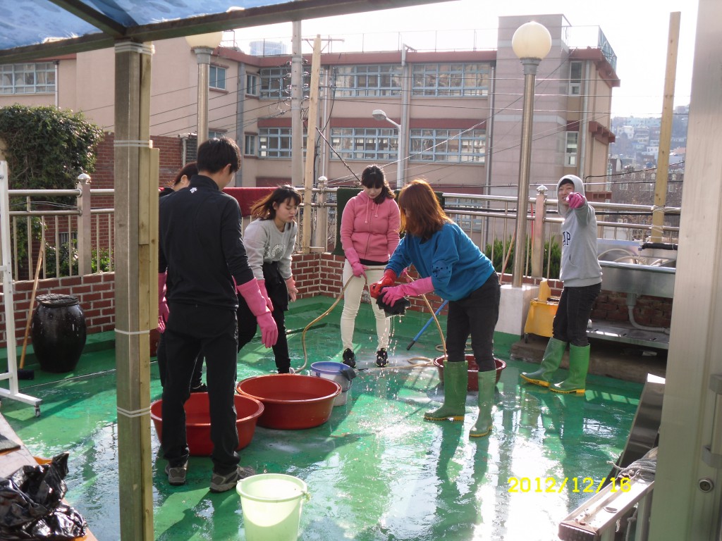 SDC13043.JPG