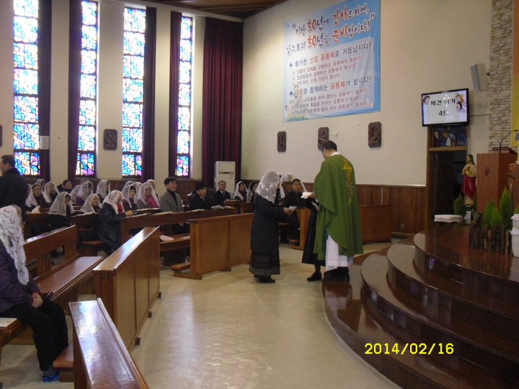 SDC11534.JPG
