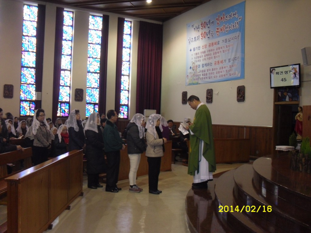 SDC11516.JPG