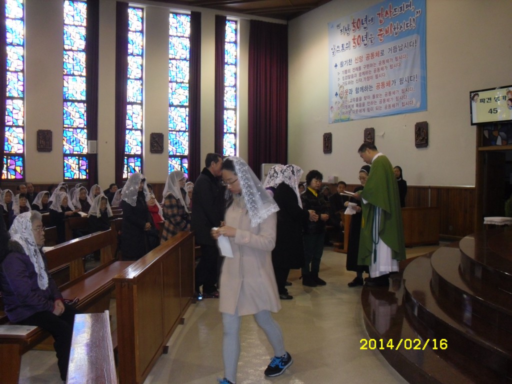 SDC11527.JPG