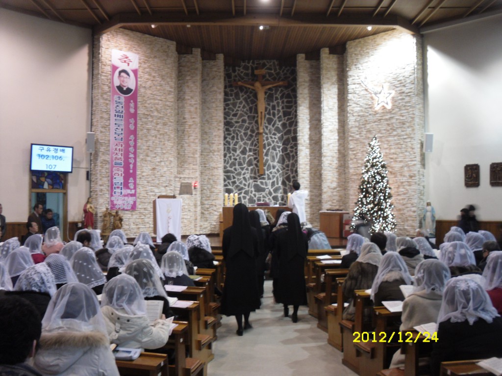 SDC13228.JPG