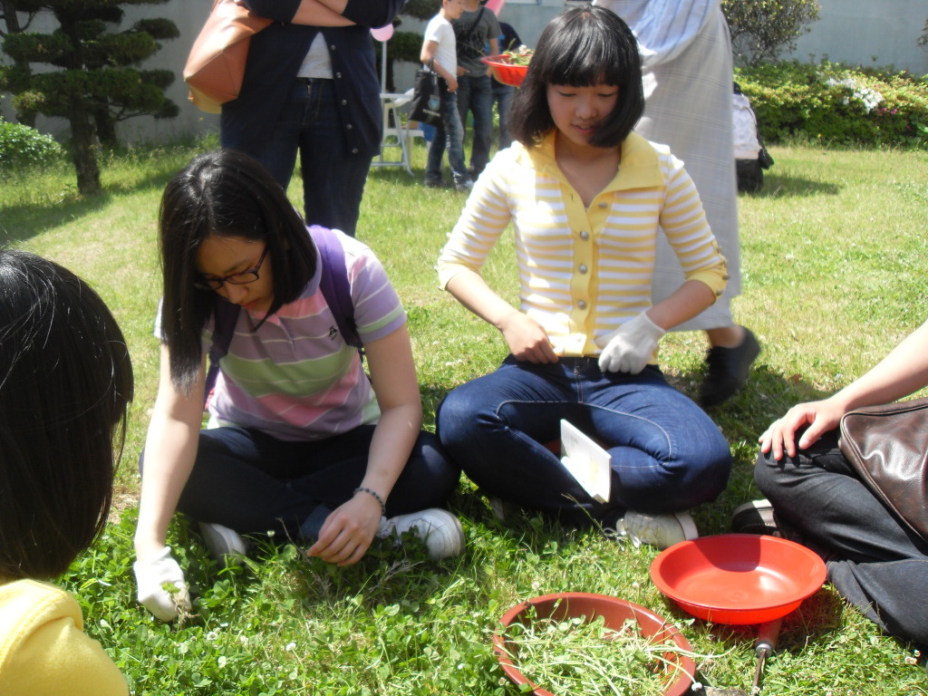 SDC16788.jpg