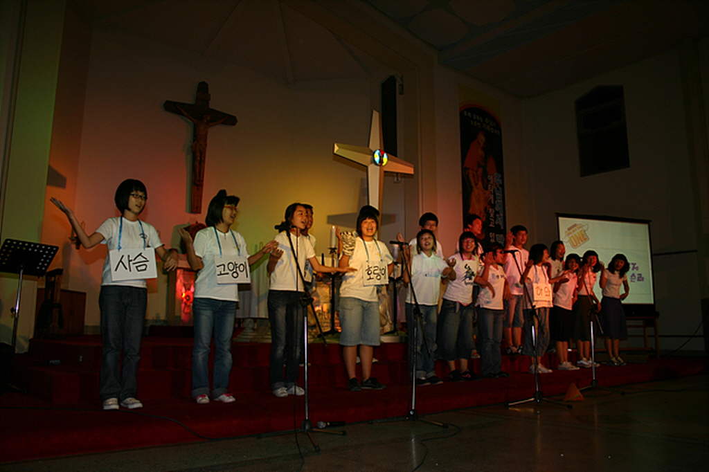 img 07-309.jpg