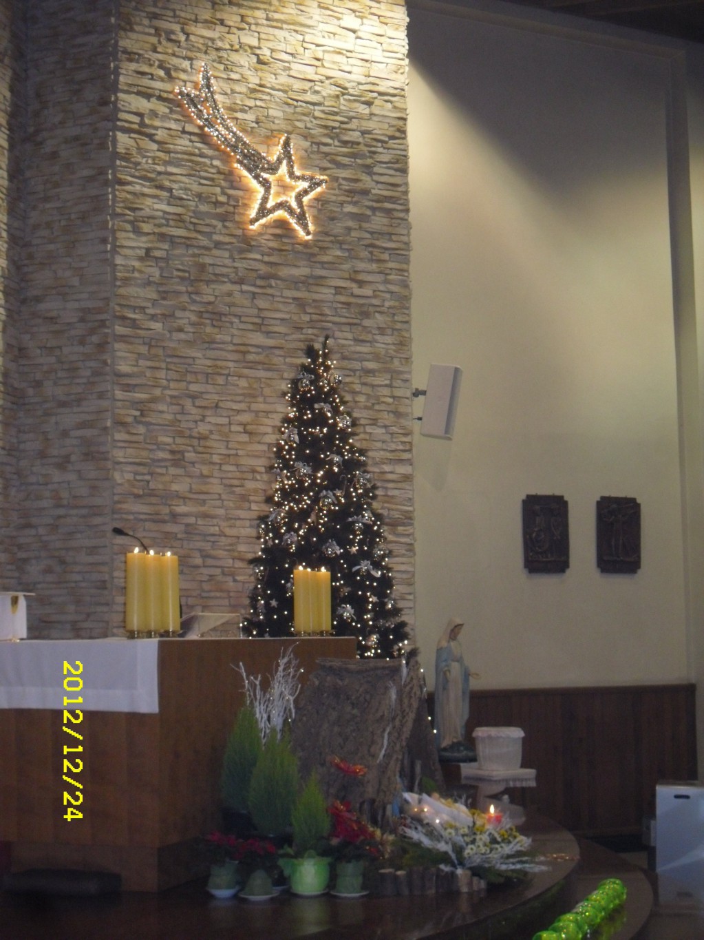 SDC13249.JPG