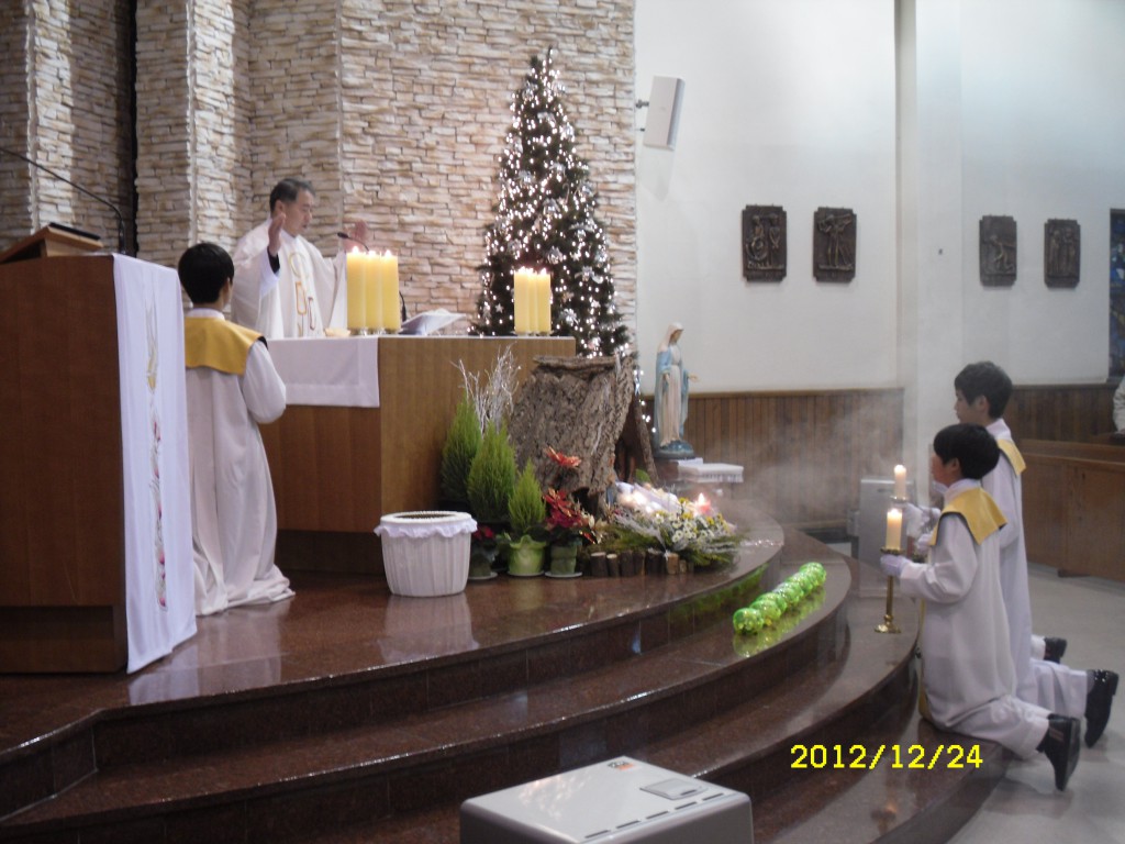 SDC13264.JPG