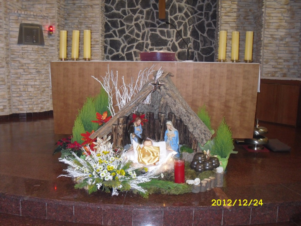 SDC13309.JPG
