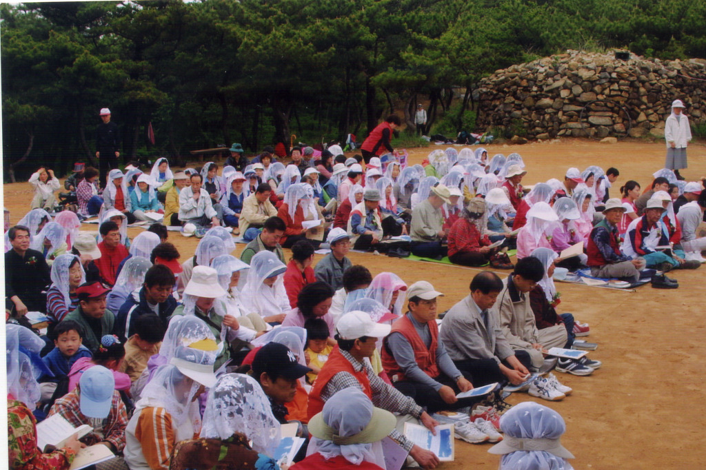 img 05-80.jpg