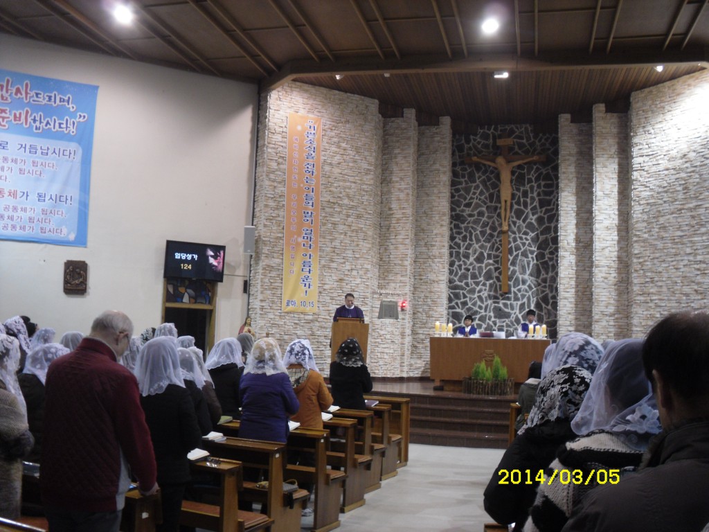 SDC11738.JPG