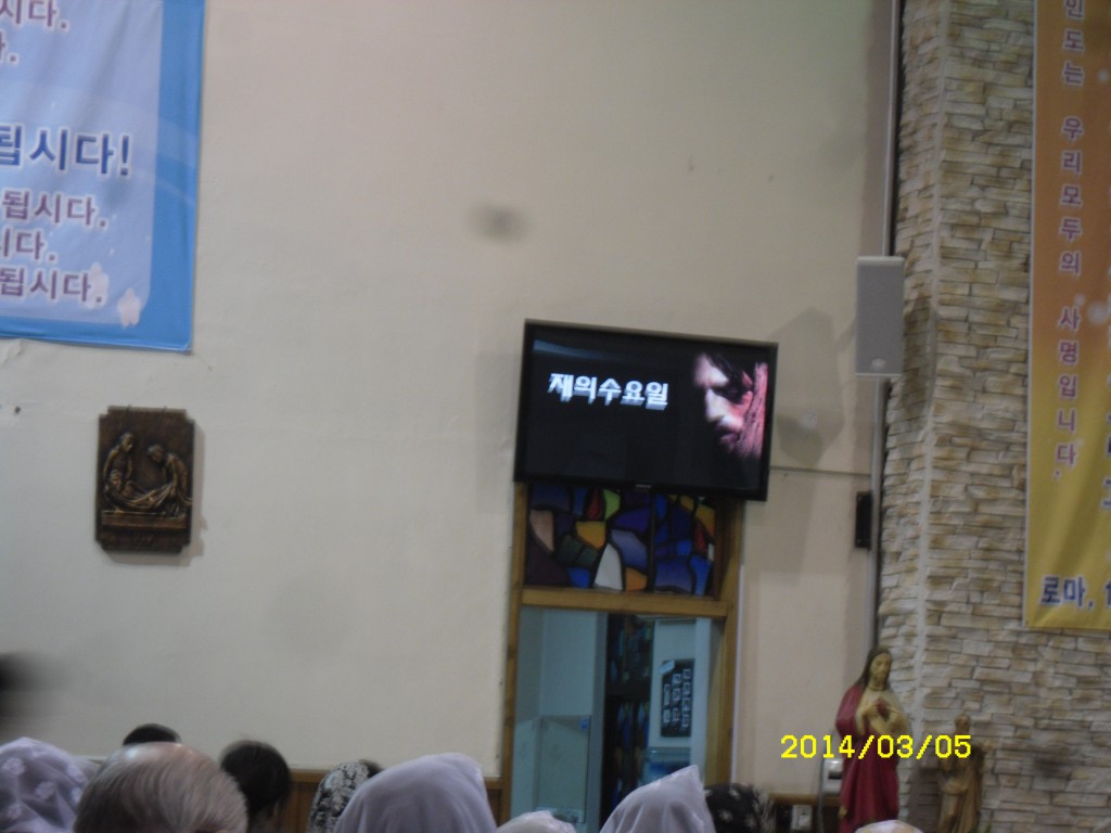SDC11727.JPG