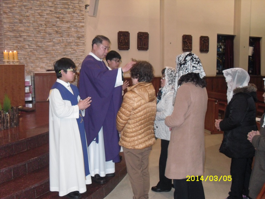 SDC11778.JPG