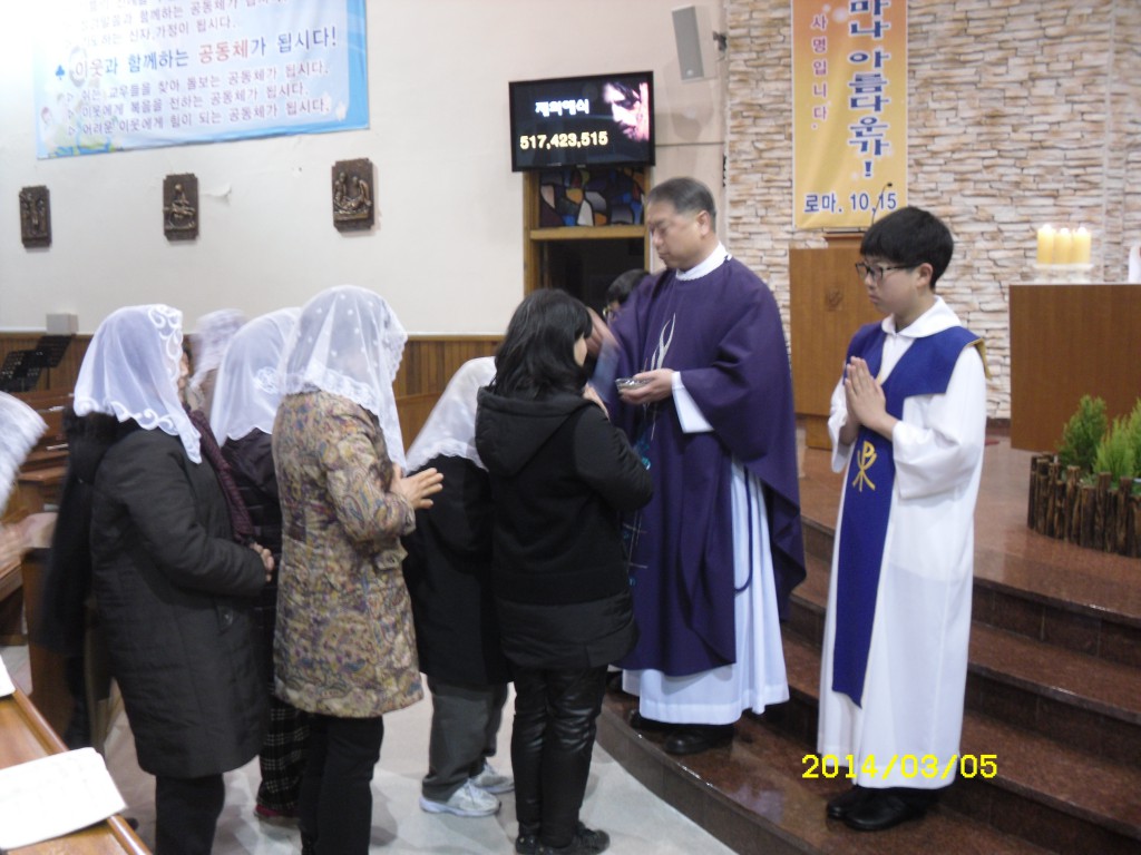 SDC11761.JPG