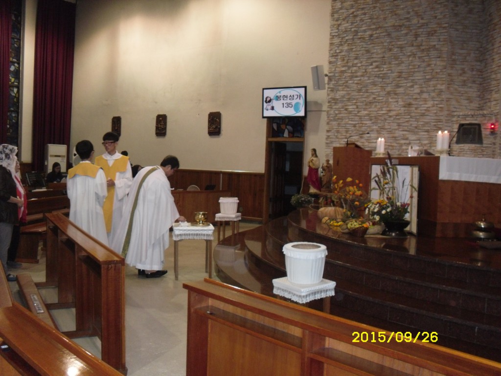 SDC19938.JPG