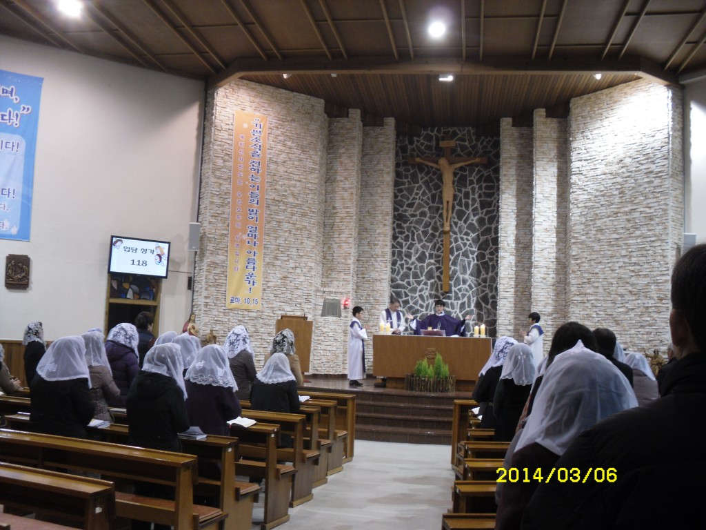 SDC11815.JPG