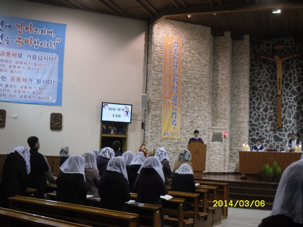 SDC11805.JPG