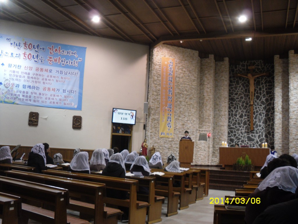 SDC11811.JPG