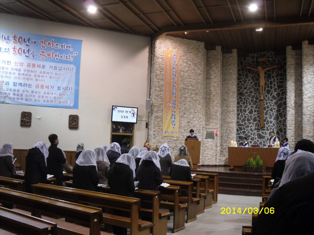 SDC11809.JPG