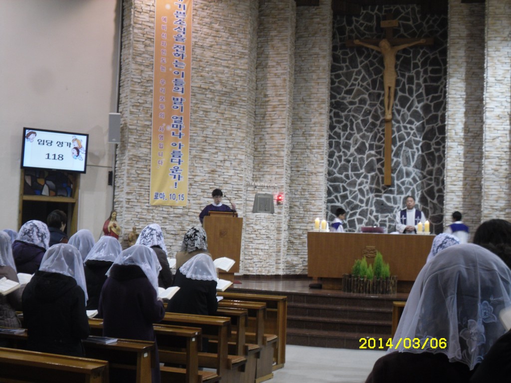 SDC11802.JPG