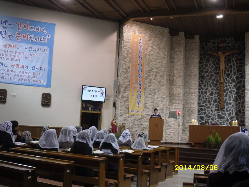 SDC11812.JPG