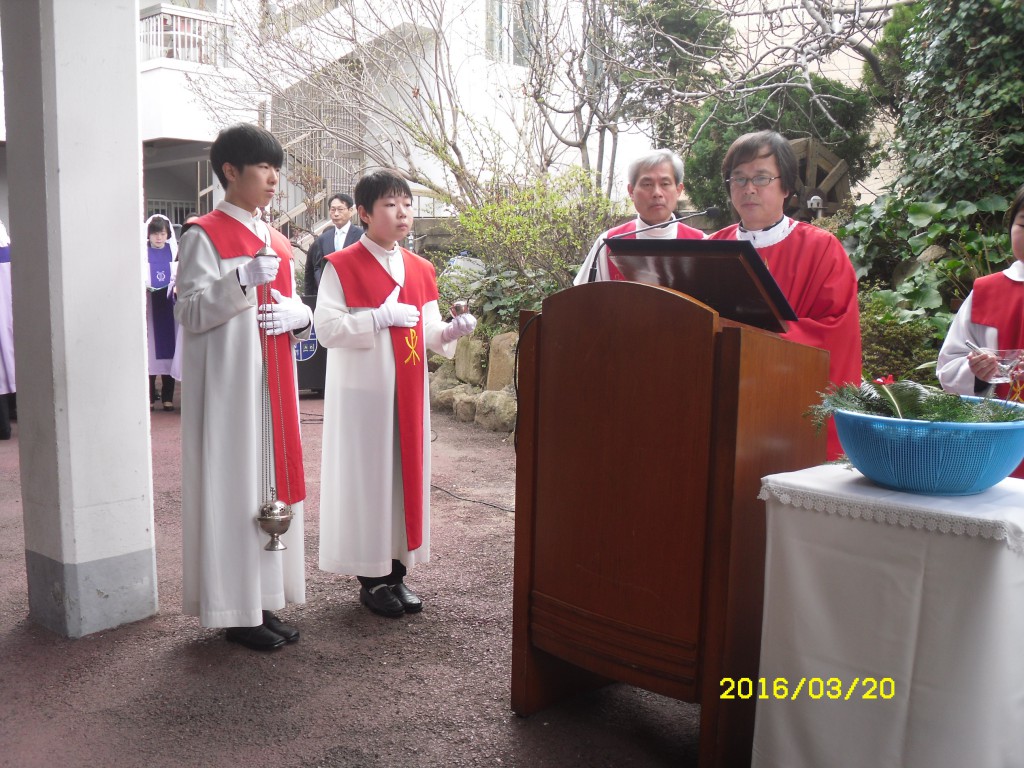 SDC12751.JPG