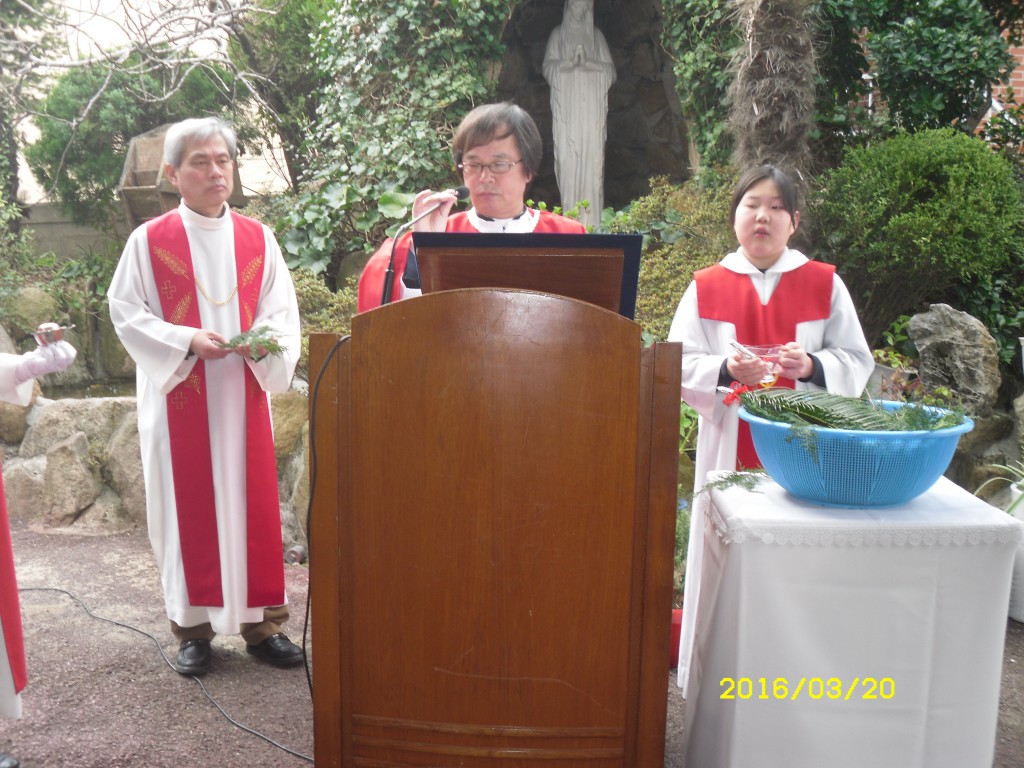 SDC12749.JPG