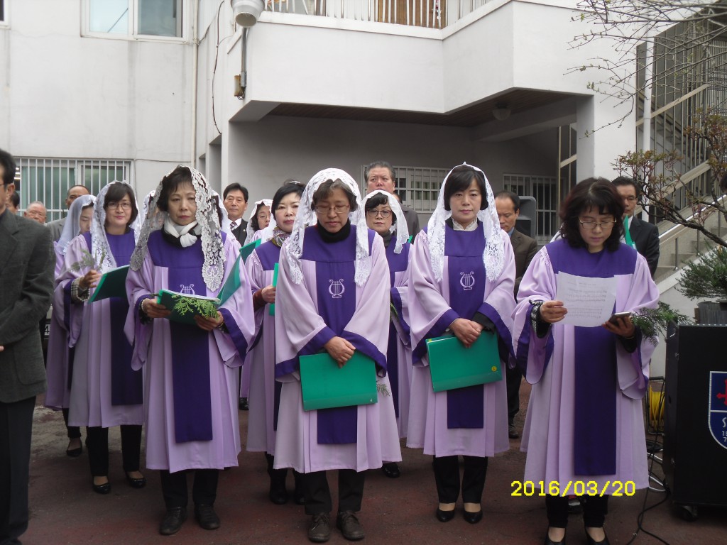 SDC12753.JPG