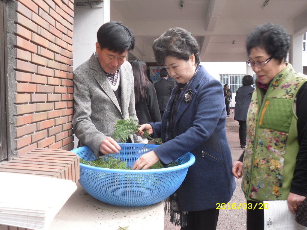 SDC12735.JPG