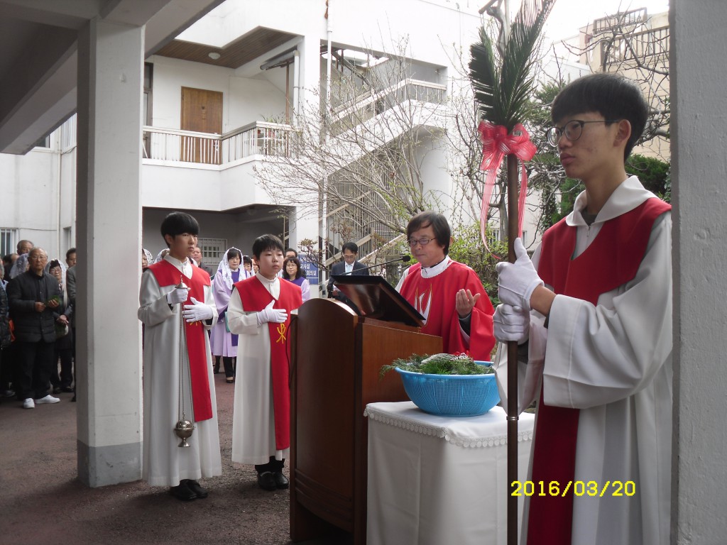 SDC12757.JPG