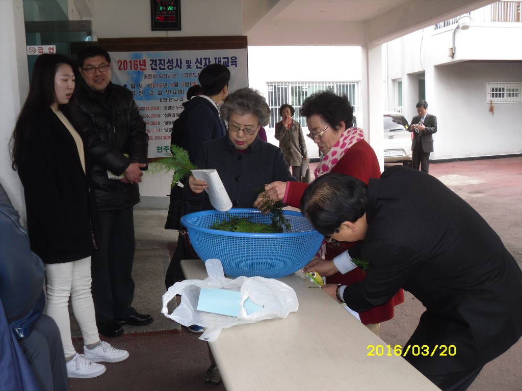 SDC12730.JPG