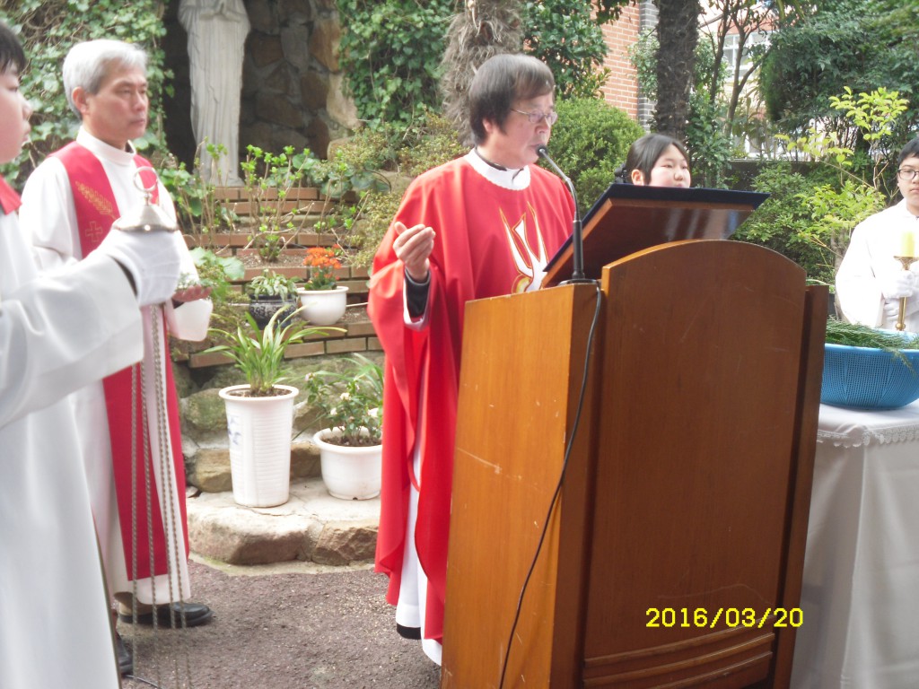 SDC12756.JPG