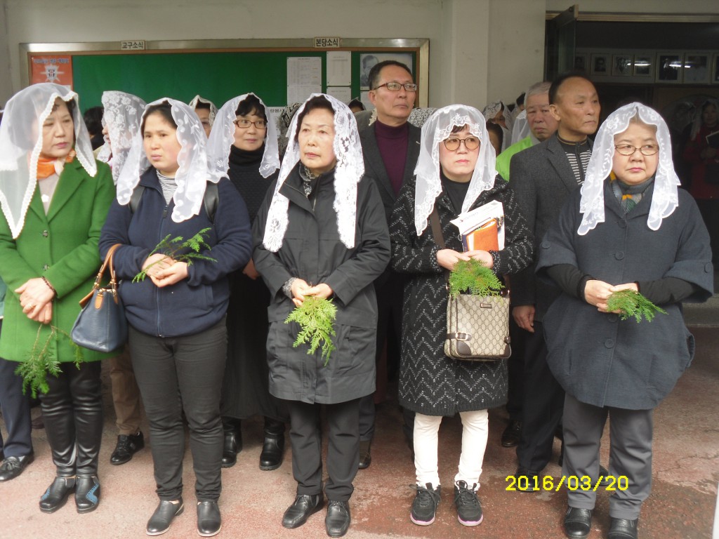 SDC12737.JPG