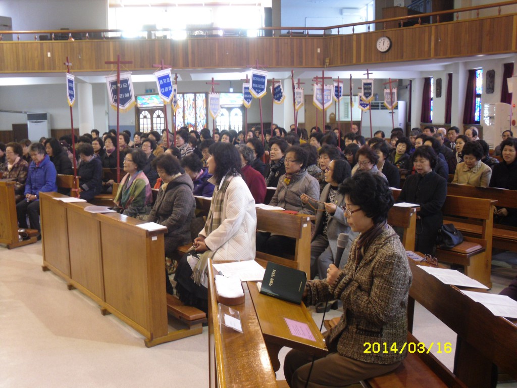 SDC12017.JPG